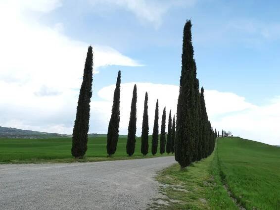 Gruppi locali di lingua italiana/Toscana/WLM/raccordo - Meta