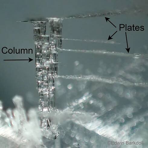 Ice crystal column plate flake