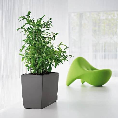 Lechuza Květináč Cararo Premium, antracitová metalická, 75 x 30 x 43 cm