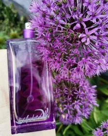Purplelips Salvador Dali pro ženy
