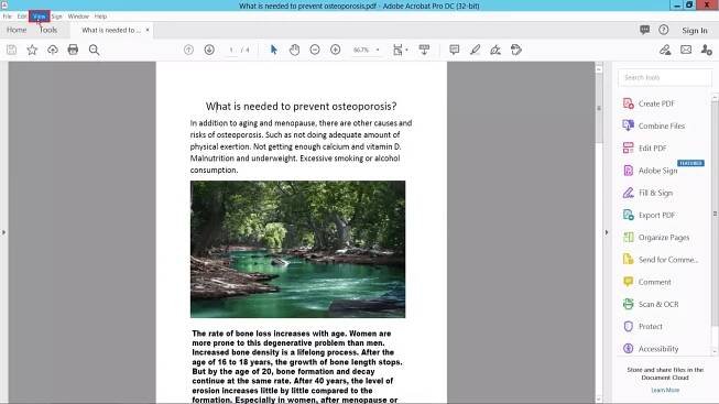 click the view button in adobe