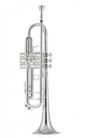Bach Stradivarius série 50. výročí Bb trumpetový outfit, postříbřený
