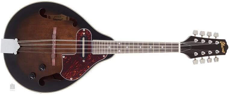 Ibanez M510E-DVS