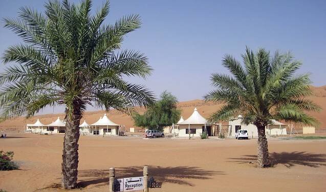 Omán - poušť Wahiba - Desert Night Camp - palmy