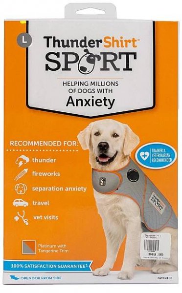 Severe Weather Pet Safety Tips | Animal Medical Center of Mid-America