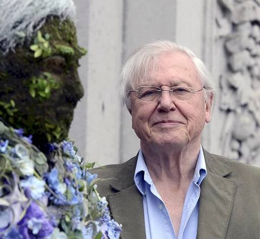David Attenborough u své květinové sochy, Royal Botanic Gardens, Londýn (17.5.2012) – Profimedia.CZ