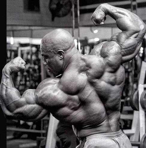 Phil Heaths Wallpapers | Bodybuilding pictures, Bodybuilding motivation, Bodybuilding workouts
