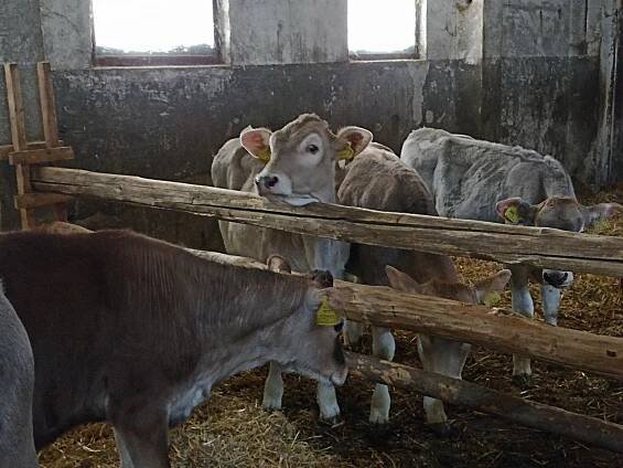 Farma Bláto - 16.5. - Oficiální stránky Základní školy Vrdy