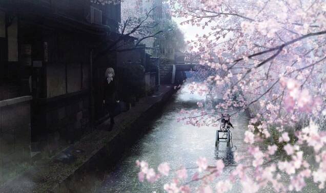"A blissful moment with nature and sakura petals" Wallpaper