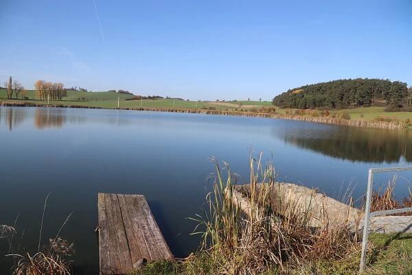 Soubor:Overview of pond Střence near Okřešice, Třebíč District.jpg