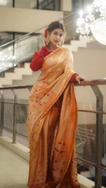 Sonarika Bhadoria's divine ethnic looks