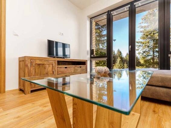 Horský apartmán Temari 4 - apartmán k pronajmutí - 8 Loučná pod Klínovcem - foto 8