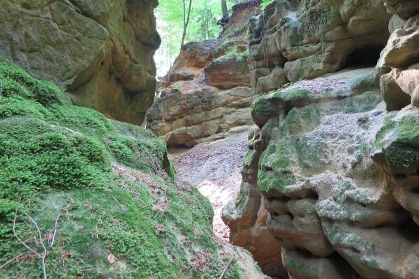 Pivnickou rokli můžete mít pro sebe, když ji najdete. Turistické značky do ní nevedou | Regiony