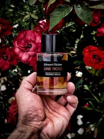 Rose Tonnerre Frederic Malle pro ženy
