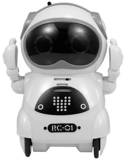 Interactive Talking Mini Robot
