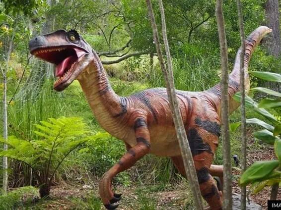 The Astounding Disclosure of Dinosaur Fossils in Missouri