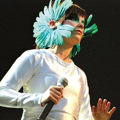 Bjork in Belgium