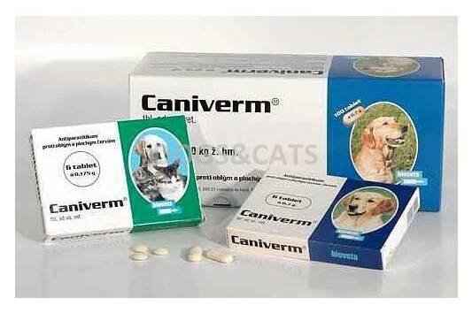Caniverm