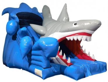 10ft Platform 3D Shark Super Slide