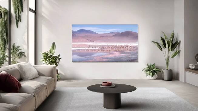 TCL 43" QLED (43P79K)