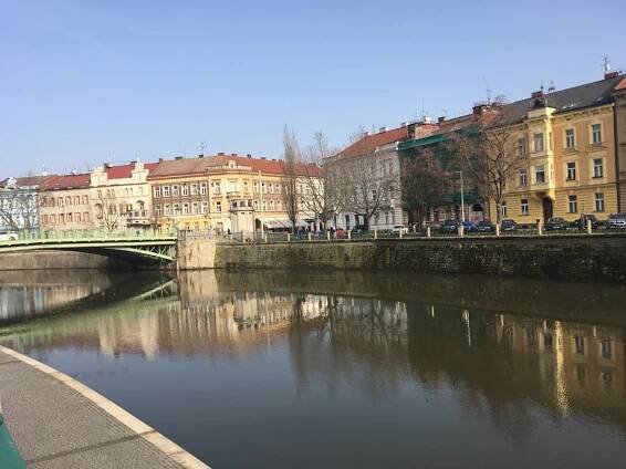 Hradec zdobí výlohy plné umění. Zpříjemněte si procházku po krajském městě