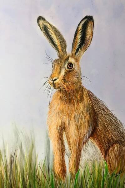 Gallery – Deborah Lynn Vaughan Mitchell Fine Art