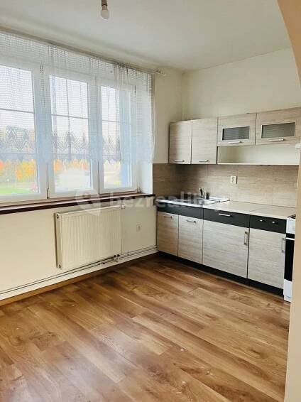 Pronájem bytu 1+1 45 m², 28. října, Ostrava, Moravskoslezský kraj
