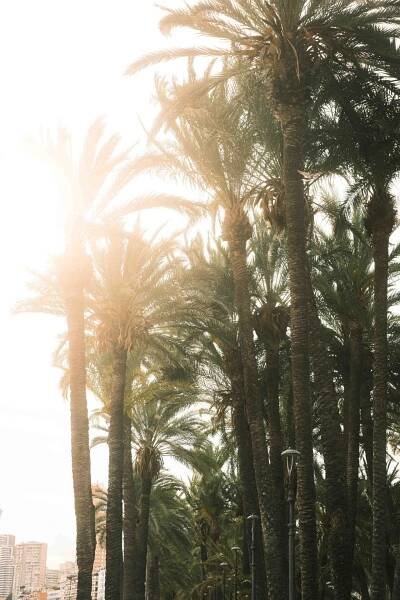 On The Streets: Benidorm - JAMIECHANCETRAVELS