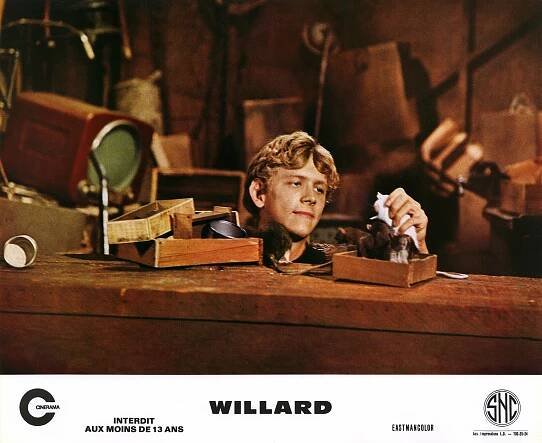 Willard (1971) | Galéria - Plagáty | ČSFD.sk