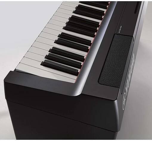 Diese Arten von Stagepianos gibt es im Test