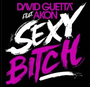 David Guetta ft Akon - Sexy Bitch (HQ)