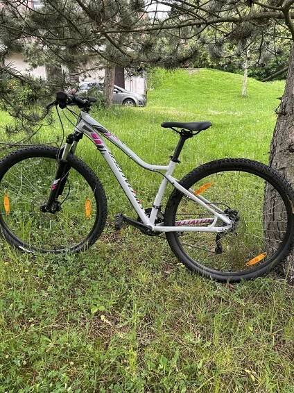 SPECIALIZED JETT COMP za 10 000 Kč | Cyklobazar.cz