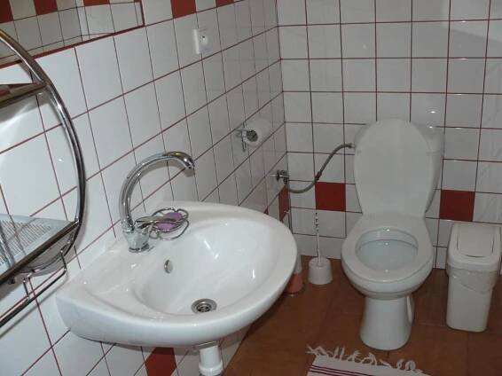 a bathroom with a sink and a toilet at Pension Helene s mini pivovarem in Kytlice