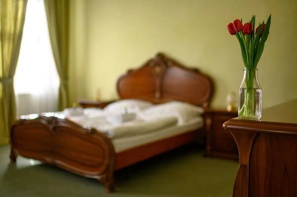 images/img-hotel-zeleny/WPE_2655.jpg