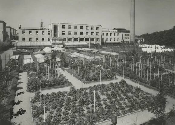 Statečný bojovník! Davídkovi (7) transplantovali játra. „Věděli jsme, že může zemřít,“ popsali rodiče