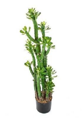 Euphorbia Roylena Kaktus umělý V 118 cm