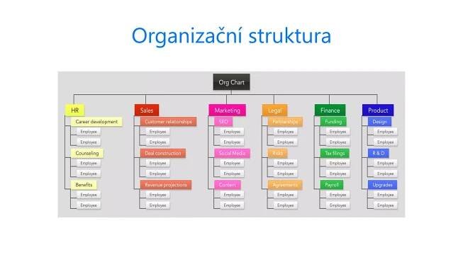 Organizační struktura
 