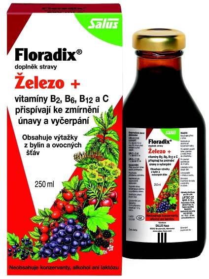 Salus Floradix Železo+ sirup 250 ml