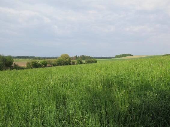 Ostřešany se představují - Oficiální stránky obce Ostřešany