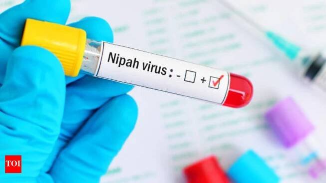 Student dies of Nipah virus in Kerala: Why it is important to be very cautious