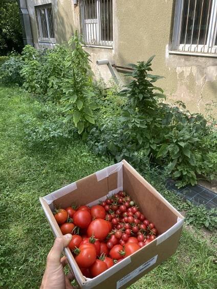 Moje Guerillová Zahrada – Perma Přema