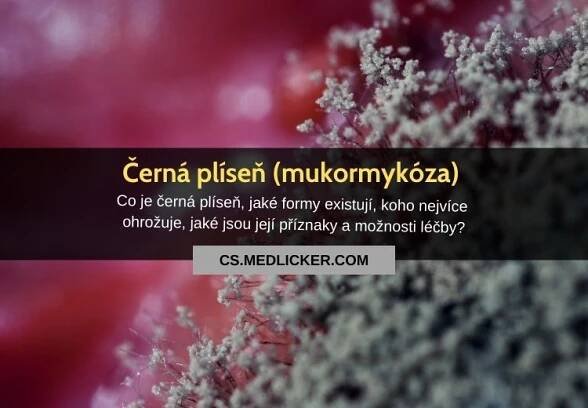 Co je černá plíseň (mukormykóza), co jí způsobuje, jak se projevuje a čím jí léčit?