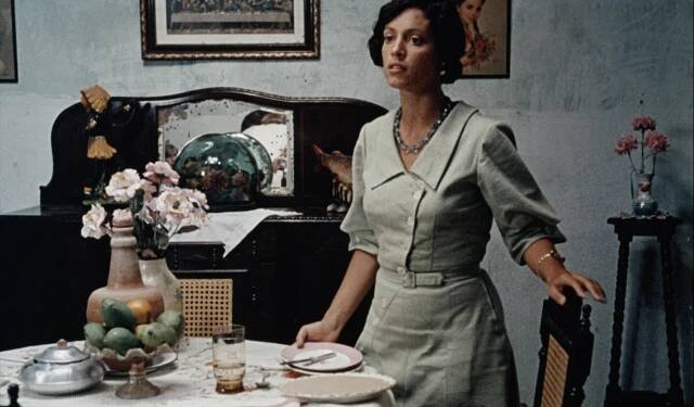 Theatrical: Dona Flor and Her Two Husbands :: Film Movement