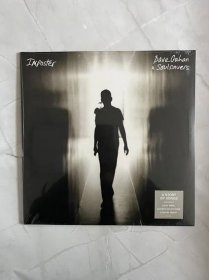 Gahan Dave & Soulsavers: Imposter II.JAKOST - Vinyl