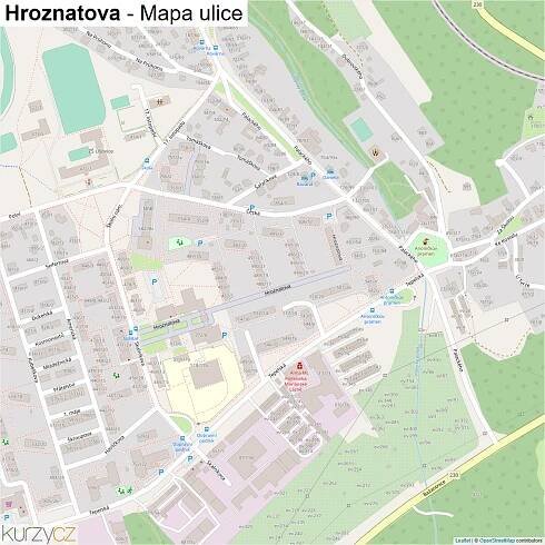 Hroznatova - mapy | Kurzy.cz