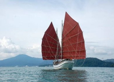 File:The Naga Pelangi sailing butterfly.JPG - Wikimedia Commons