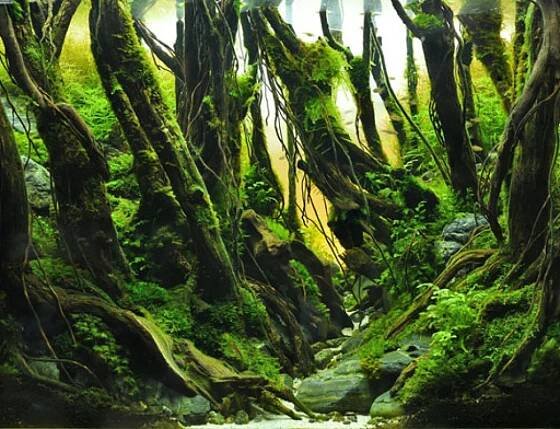 “Flow” by Yoda