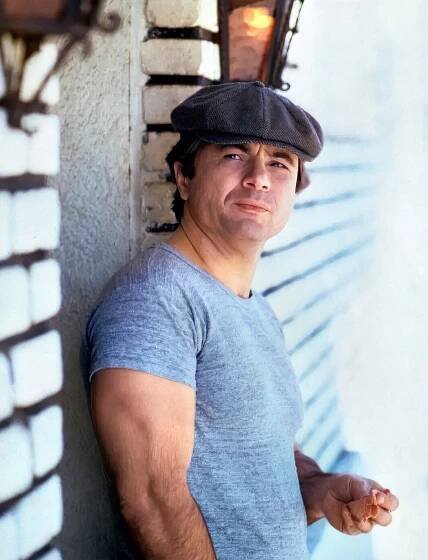 In the Baretta TV show, Robert Blake played an unconventional cop with a charming cockatoo (1975-1978) 1