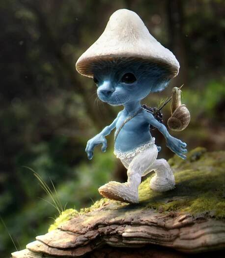 Smurf Cat - #1 Viral Meme in the World