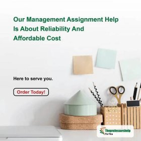 Experts for hire to do management assignments